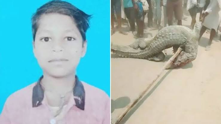 गोंडा (UP) में मगरमच्छ का हमला: 13 साल का बच्चा लापता वायरल हुआ वीडियो जानिए पूरी घटना हिंदी में