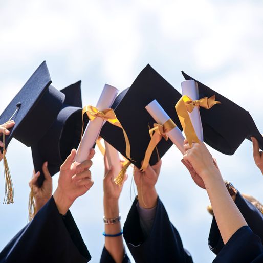 'IIT अमेरिका का निर्माण कर रहे हैं, भारत का नहीं': स्टार्टअप संस्थापक ने प्रतिभा पलायन को 'संज्ञानात्मक संपत्ति शोधन' बताया