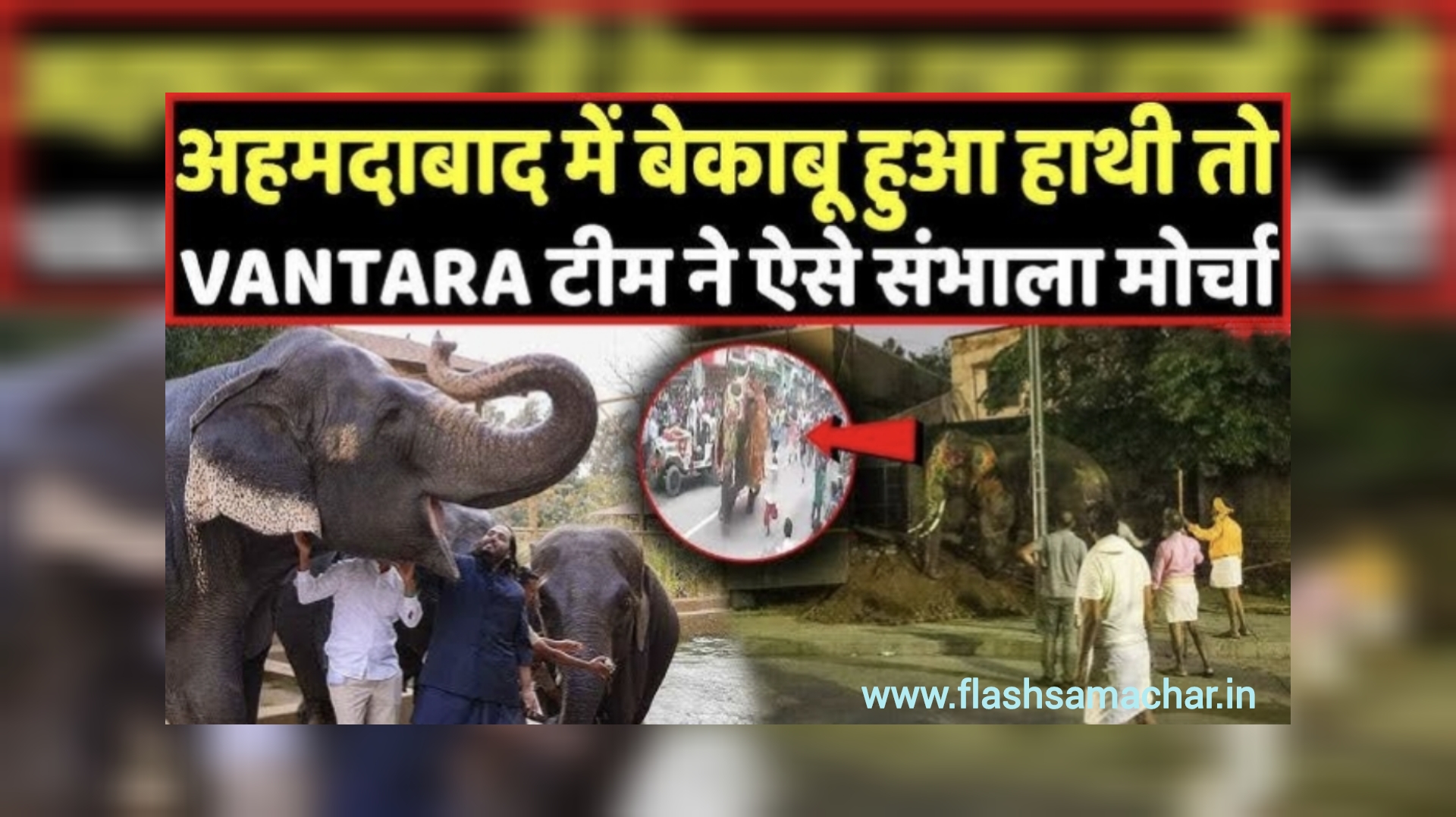 जगन्नाथ रथ यात्रा में हाथियों पर फूटा कहर, अनंत अंबानी की वनतारा टीम ने बचाई जानें