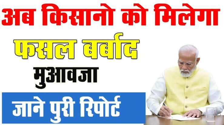 फसल हुई बर्बाद: पीएम फसल बीमा योजना बताएगी कैसे और कितना मिलेगा मुआवजा