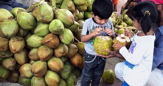 रोजाना नारियल पानी पीने के 10 अद्भुत फायदे: स्वास्थ्य के लिए प्रकृति का अमृत