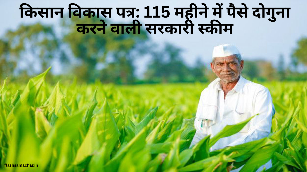 किसान विकास पत्र: 115 महीने में पैसे दोगुना करने वाली सरकारी स्कीम - पूरी जानकारी