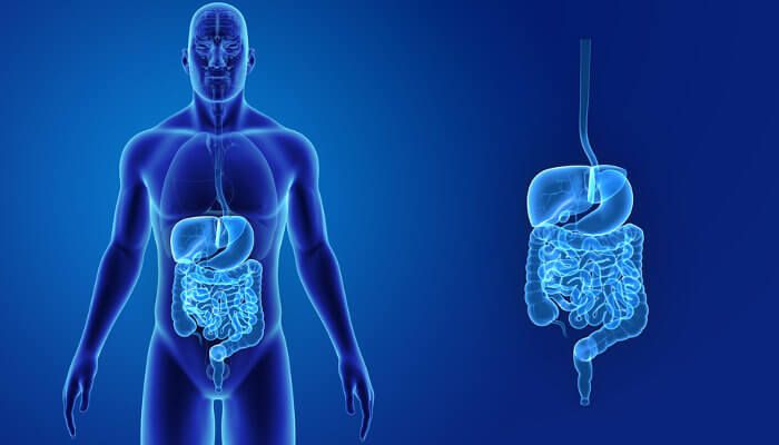 रोजाना नारियल पानी पीने के 10 अद्भुत फायदे स्वास्थ्य के लिए प्रकृति का अमृत